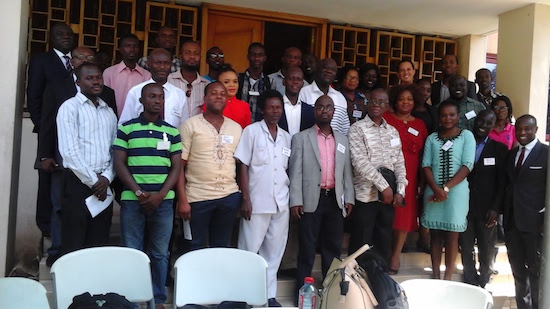 A4AI National Coalitions Convene Meetings in Nigeria and Ghana